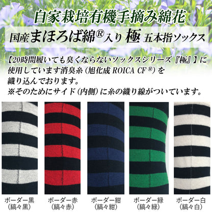 新生活応援セール！15％OFF【極】5本指ソックス  クルー丈 メンズ まほろば綿® 含有  25-27cm  5足 マルチカラー ボーダー